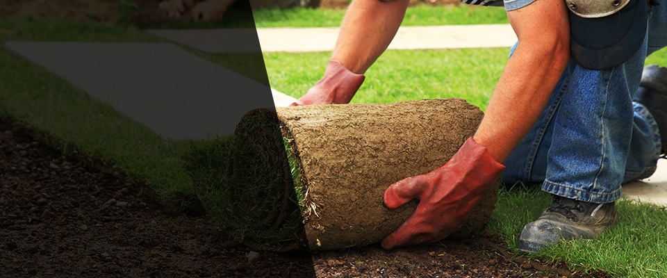 Ramona Landscapers